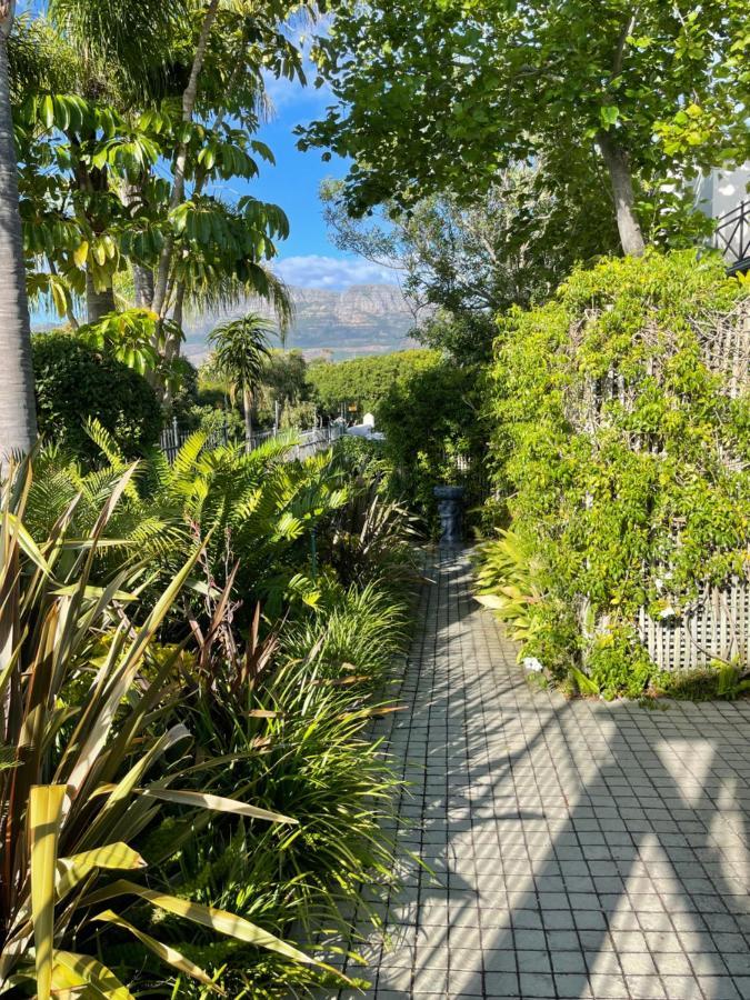 Constantiaberg Eco-Villa Kaapstad Buitenkant foto